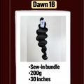 Dawn 1B